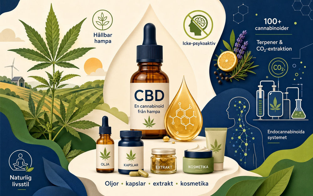 Allt om CBD: Fakta och spännande information om hampa