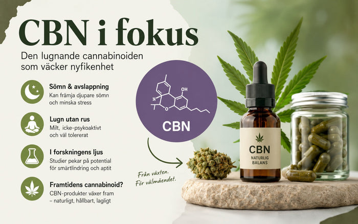 CBN i fokus – cannabinolen som bildas över tid