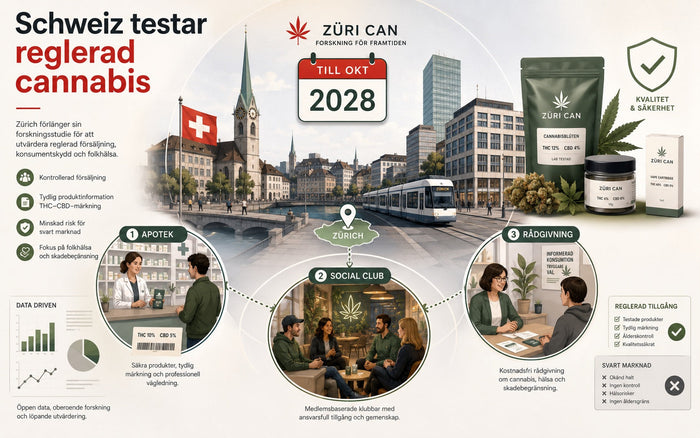 Schweiz testar reglerad cannabis och förlänger studie till 2028