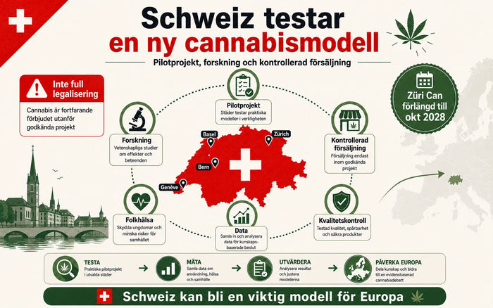 Schweiz kliver fram i Europas cannabisdebatt