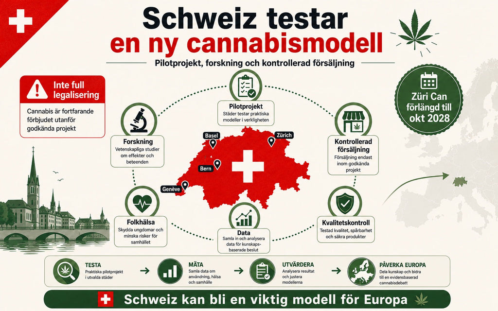 Schweiz kliver fram i Europas cannabisdebatt